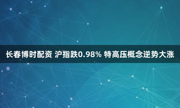 长春博时配资 沪指跌0.98% 特高压概念逆势大涨