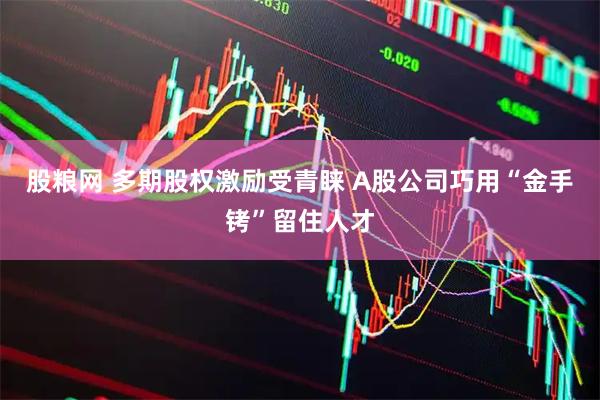 股粮网 多期股权激励受青睐 A股公司巧用“金手铐”留住人才